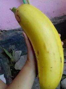 大香蕉国产区,揭秘国产影视产业的魅力与风采